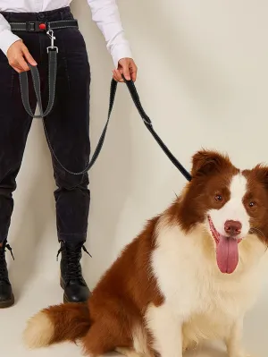 1pc Plain Pet Leash 1pc Belt