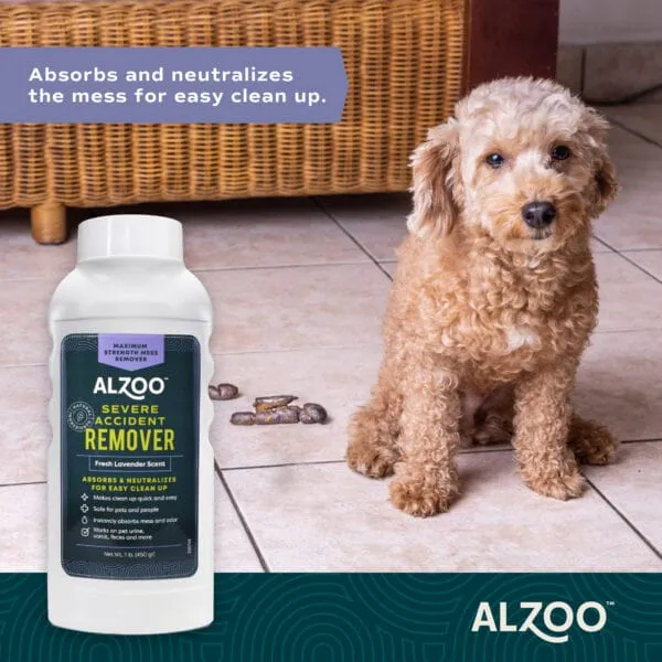 ALZOO Mineral-Based Severe Accident Remover