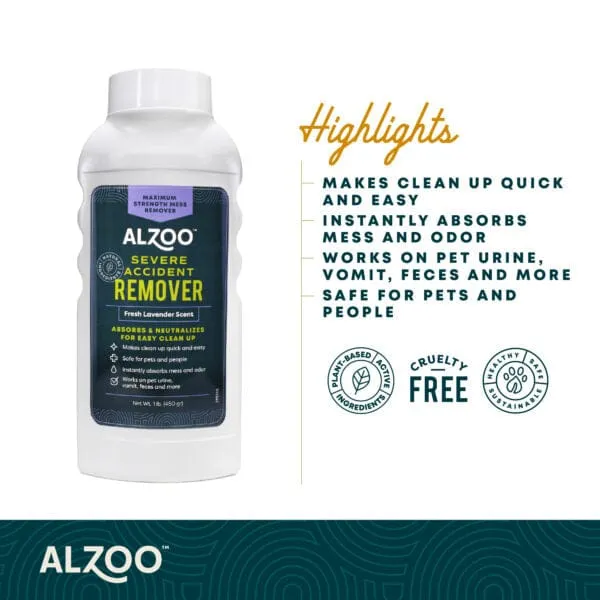 ALZOO Mineral-Based Severe Accident Remover