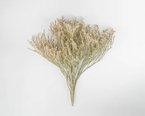 Bulk German Statice - White Tataricum