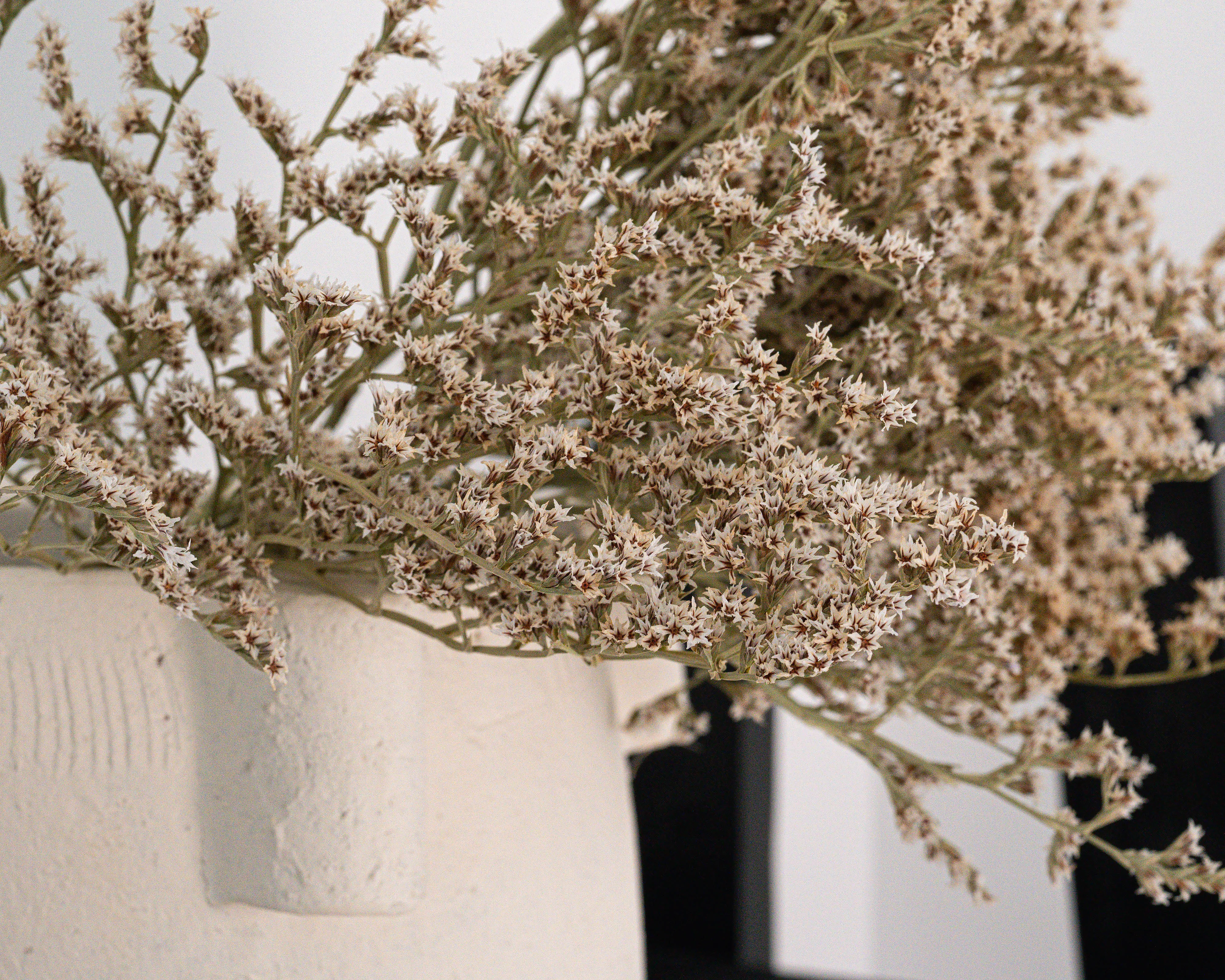 Bulk German Statice - White Tataricum