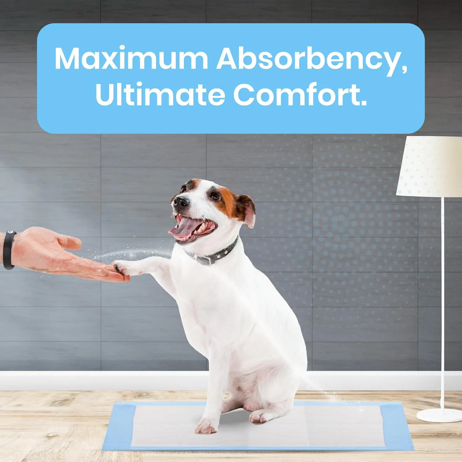FPN Dog Pee Pads Extra Large, Dog Training Pads, 25 PCS - X-Large, 24x36 inch, Puppy Pads Pet Training Pads, 5 Layer Pads for Instant Absorption