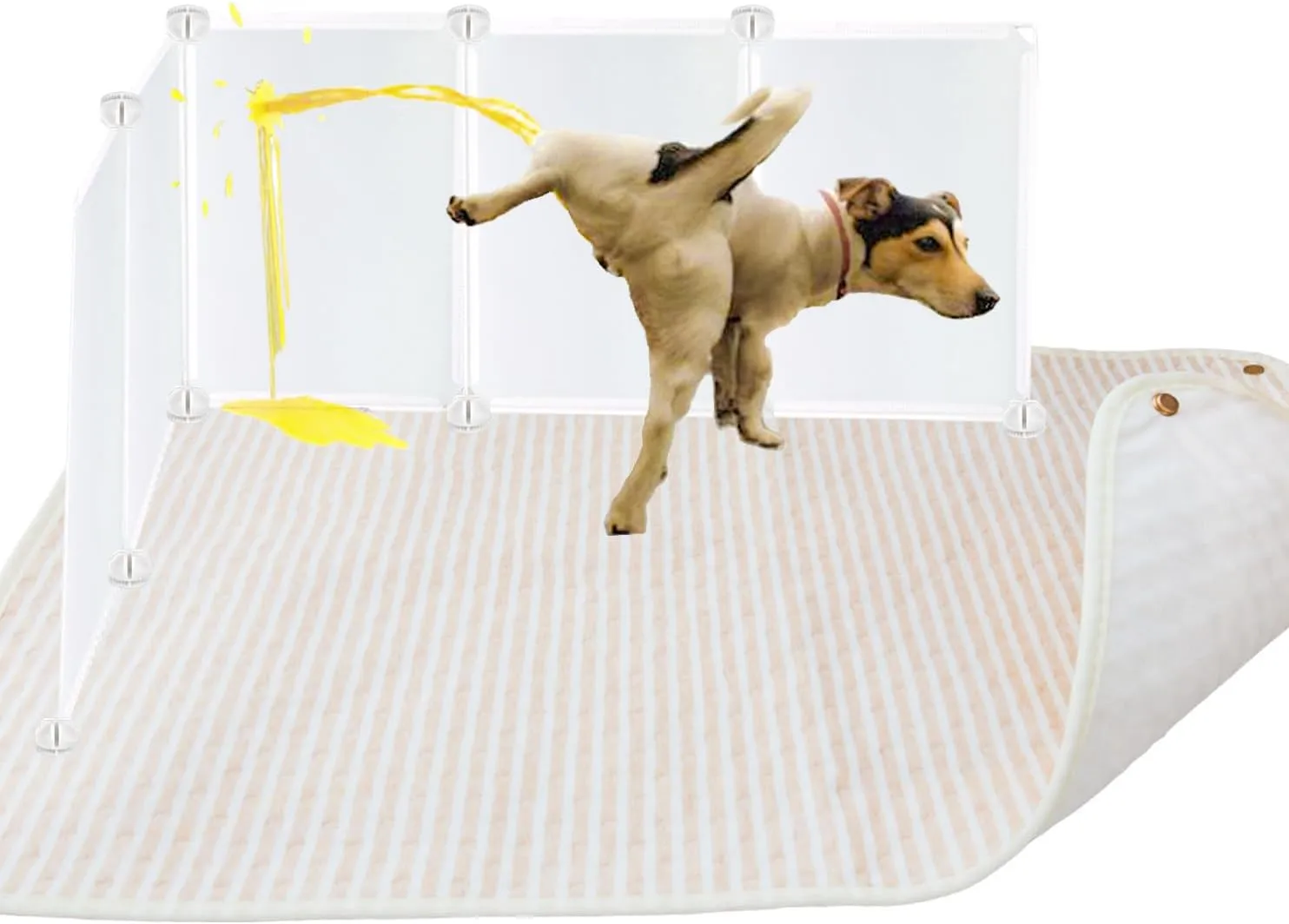 Pet Enclosure Splash Guard with Super Absorbent Washable Dog Pee Pad