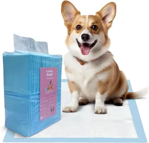 Premium Puppy Pee Pads - 23.6""x23.6"" (40 Count) - Leak-Proof & Quick-Dry Design for Dogs and Puppies - Dog Pee Pads for Potty Training, Standard
