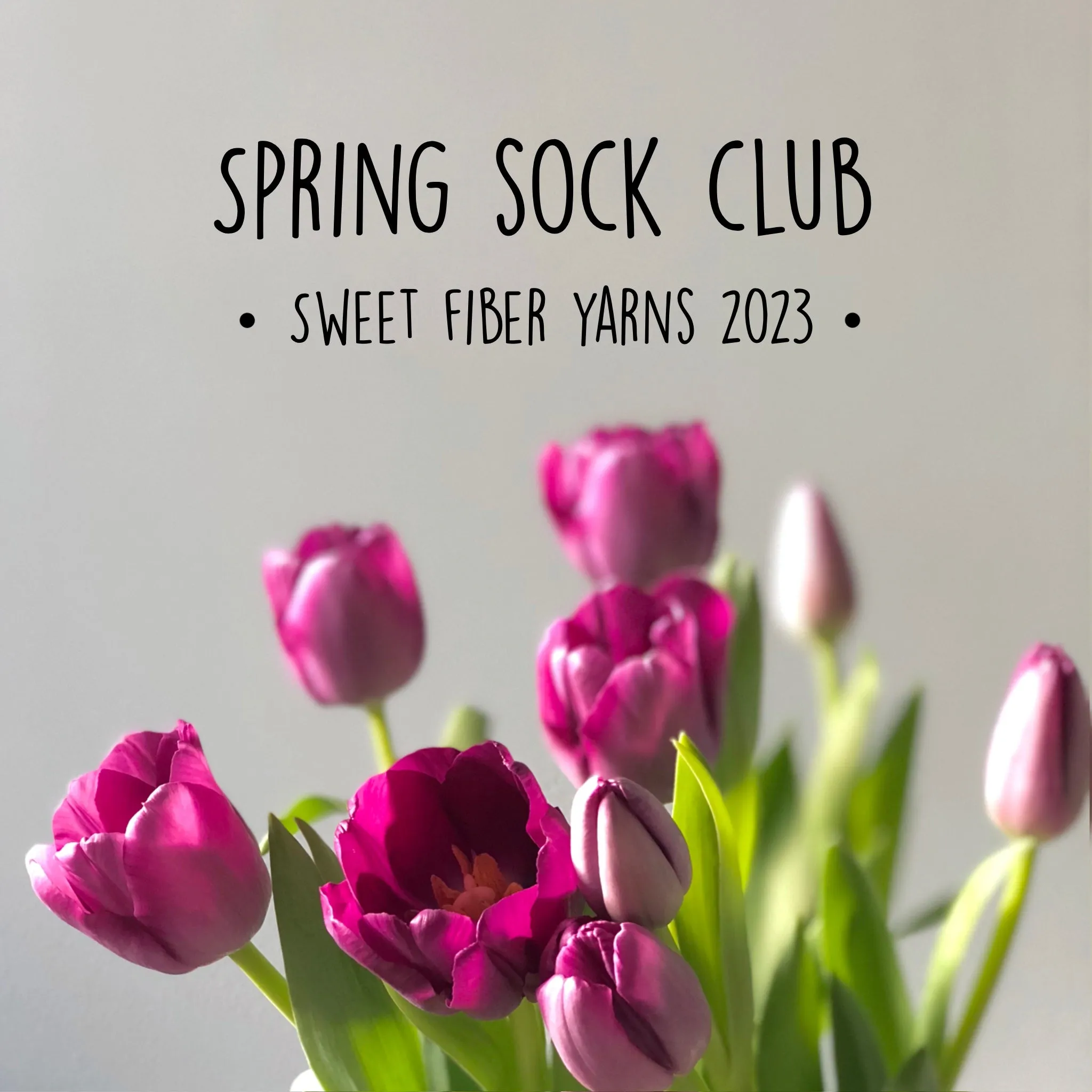 SPRING SOCK CLUB 2023